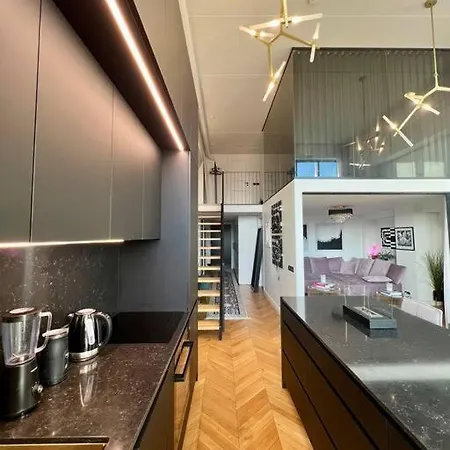 102sqm Exclusive Loft In Trendy Noblessner * טאלין