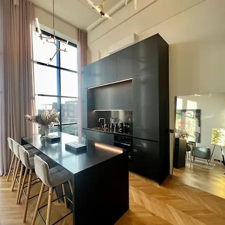 102sqm Exclusive Loft In Trendy Noblessner *